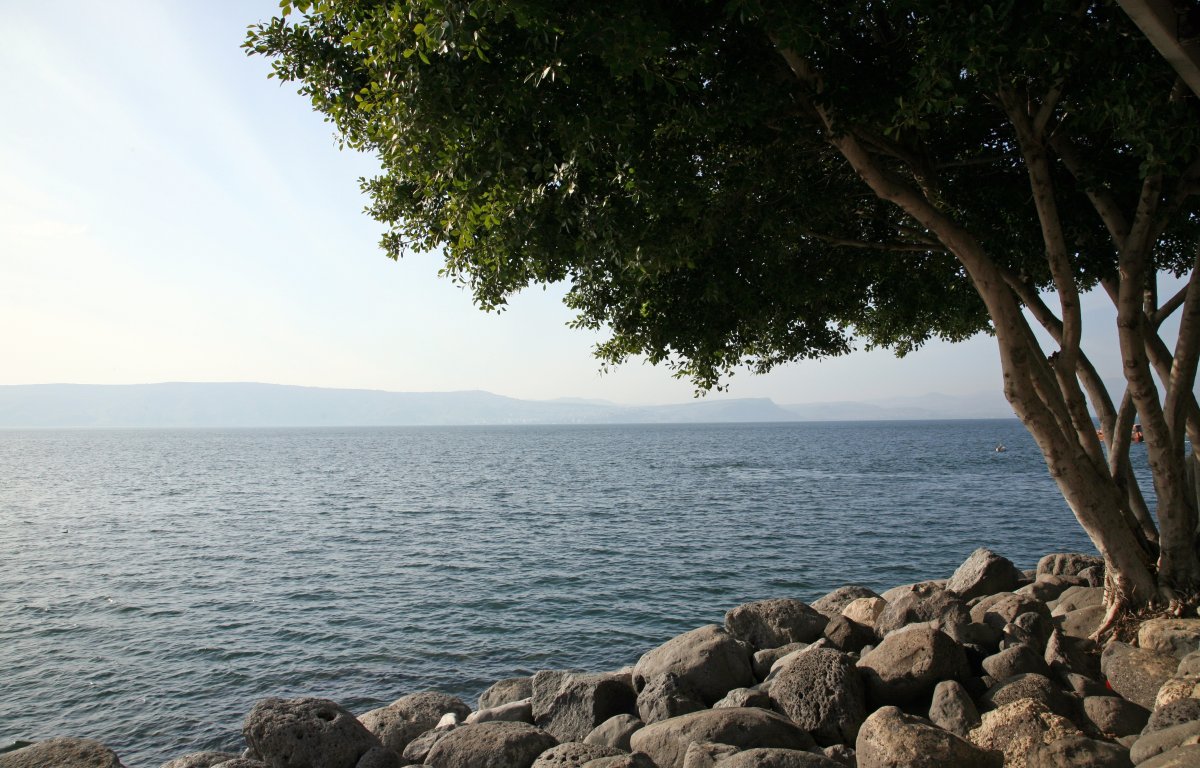 תחזית מזג האוויר: השרב המעיק - מתמתן