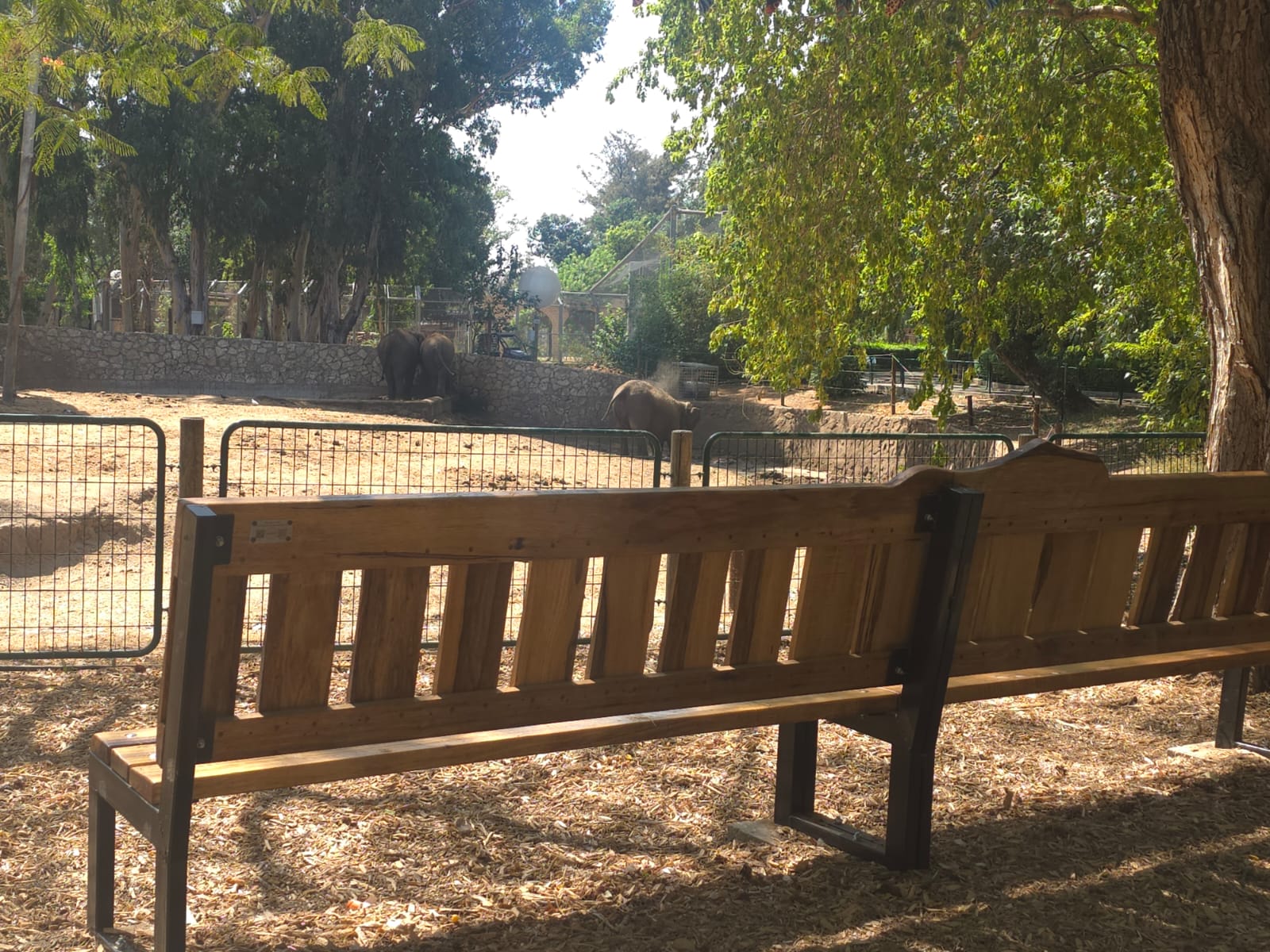 הספסלים בספארי לזכרם של כפיר ואריאל ביבס הי"ד הספסלים בספארי לזכרם של כפיר ואריאל ביבס הי"ד (דוברות הספארי)