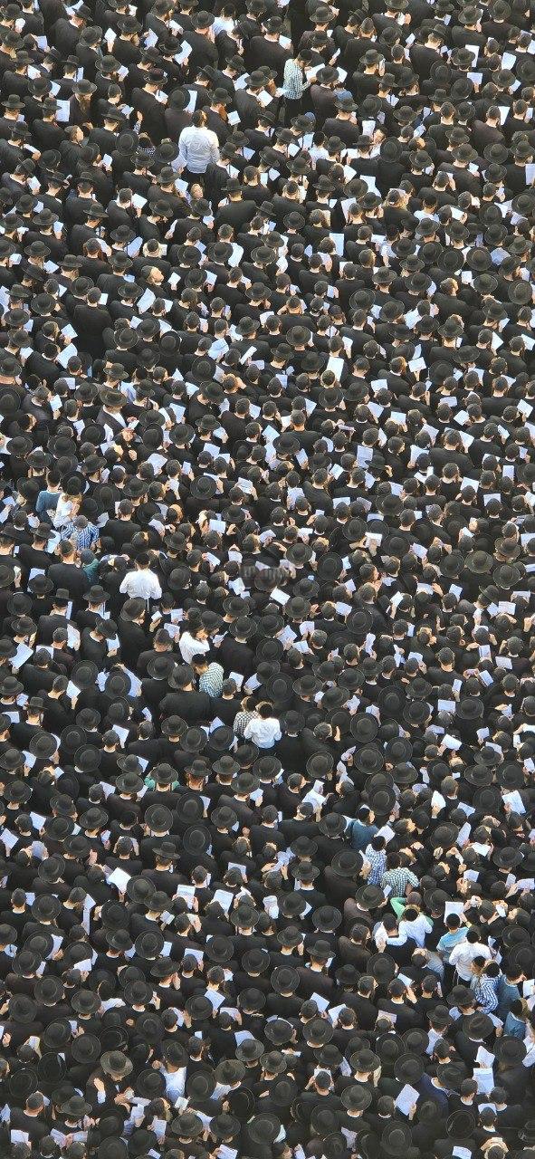 (צילום: השימוש נעשה על פי סעיף 27א בכפוף לחוק זכות היוצרים. בעל זכות היוצרים זכאי לבקש את הסרתה מ- contact@tv2000.co.il)