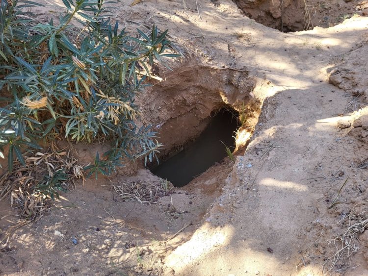 תיעוד מיוחד מציון רבי יששכר 'בעל המעיין' במרוקו (צילום: חנוך לוין)