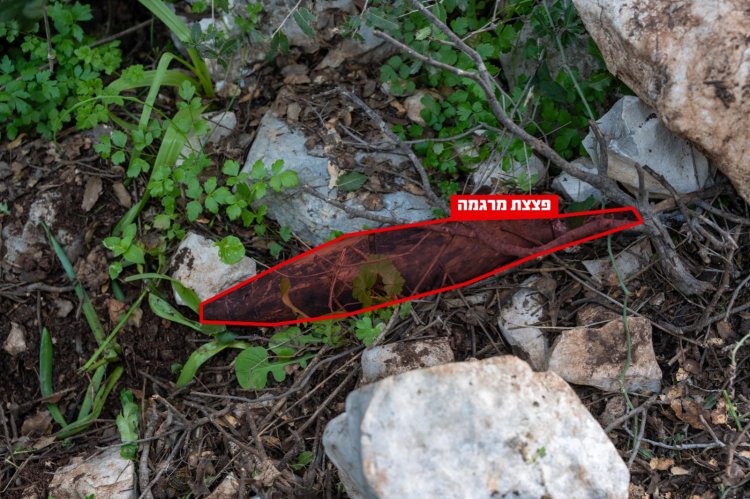 לוחמי המילואים פועלים עמוק בהר דב (צילום: דובר צה"ל)