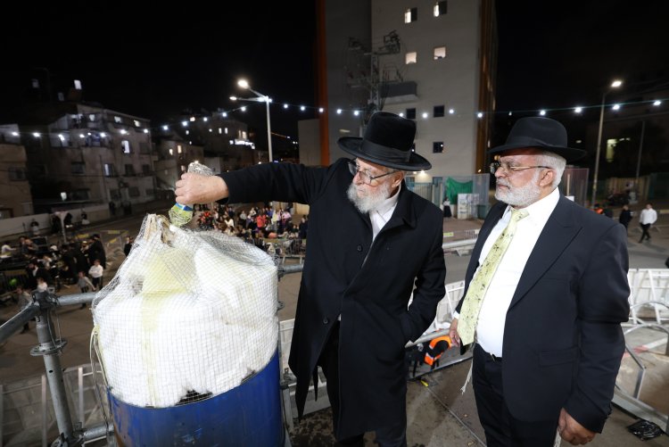 (צילום: יעקב כהן)