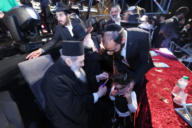(צילום: יעקב כהן)
