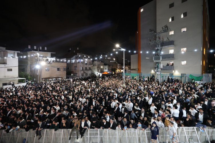 (צילום: יעקב כהן)