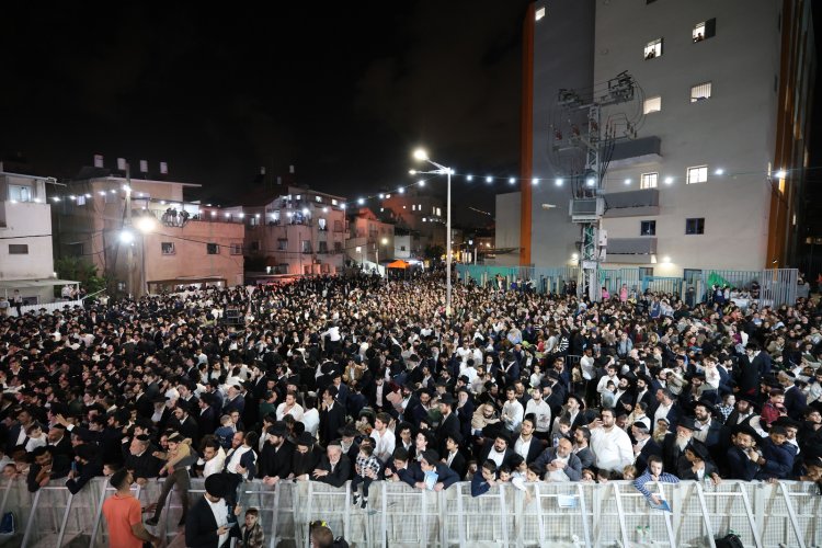 (צילום: יעקב כהן)