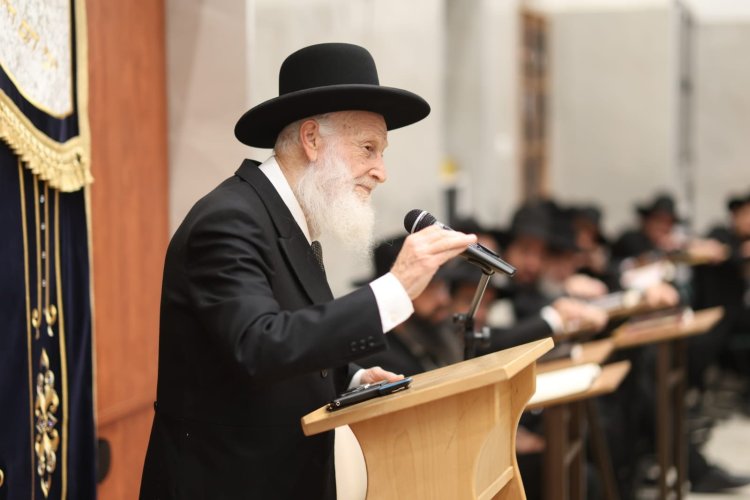 (צילום: צילום: יעקב כהן ובאדיבות המצלם)