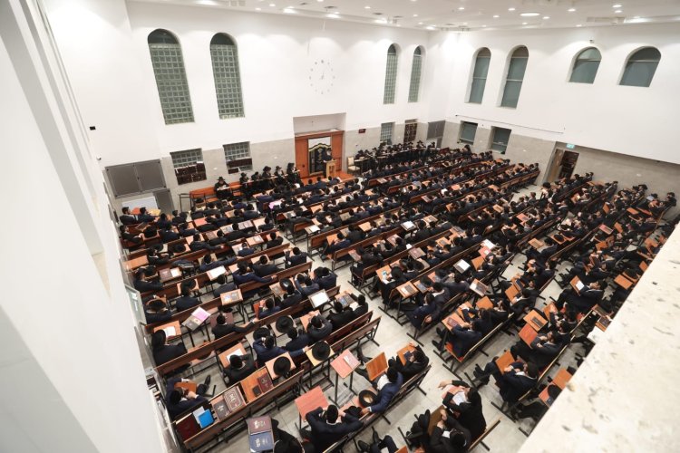 (צילום: צילום: יעקב כהן ובאדיבות המצלם)