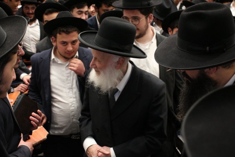 (צילום: צילום: יעקב כהן ובאדיבות המצלם)