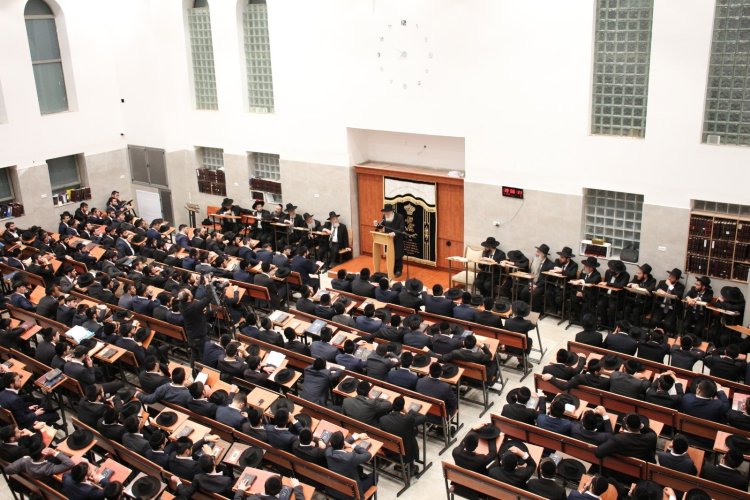 (צילום: צילום: יעקב כהן ובאדיבות המצלם)