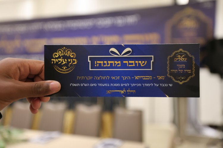 (צילום: יעקב כהן)