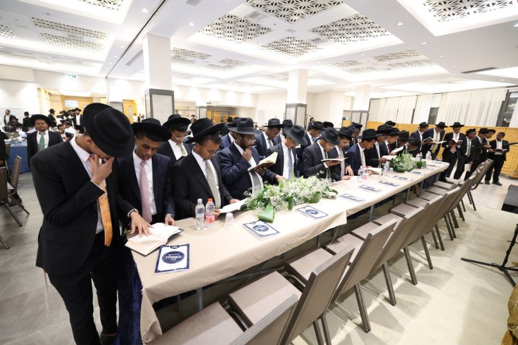 (צילום: יעקב כהן)