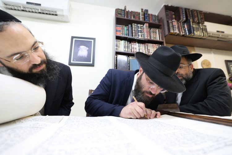 (צילום: יעקב כהן)