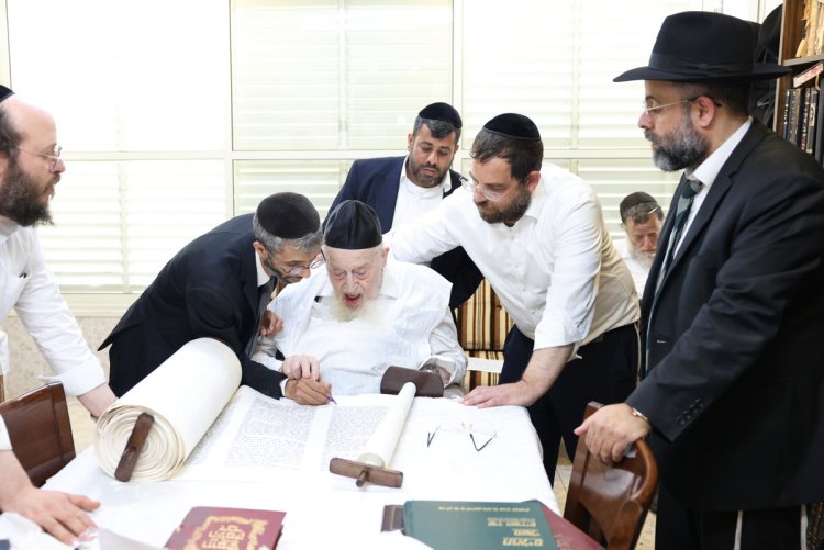(צילום: יעקב כהן)