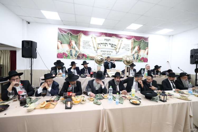(צילום: יעקב כהן)