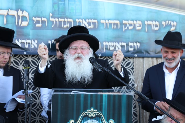 מצוות פדיון פטר חמור בהשתתפות אלפים במירון (צילום: דוד כהן) מצוות פדיון פטר חמור בהשתתפות אלפים במירון (צילום: דוד כהן)