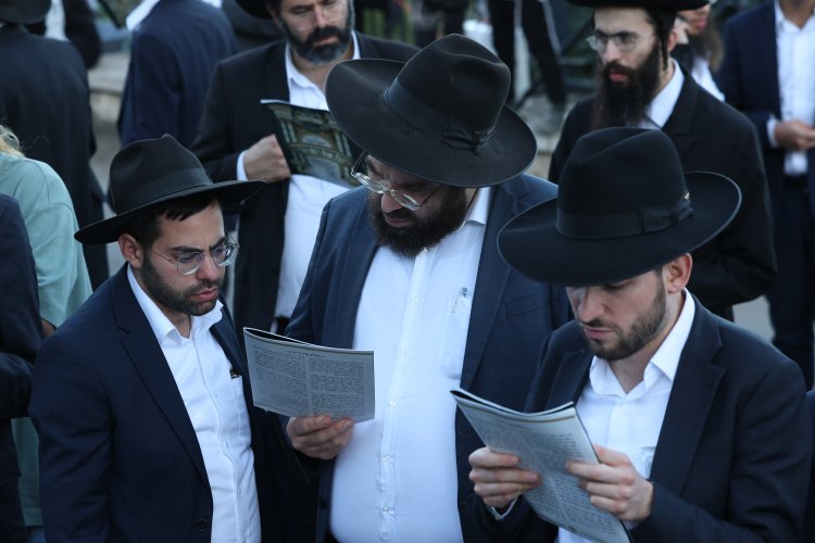 מצוות פדיון פטר חמור בהשתתפות אלפים במירון (צילום: דוד כהן) מצוות פדיון פטר חמור בהשתתפות אלפים במירון (צילום: דוד כהן)