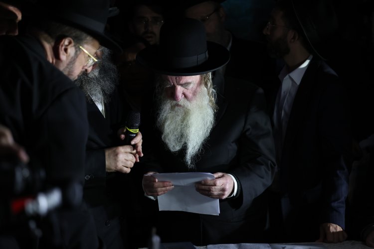 מצוות פדיון פטר חמור בהשתתפות אלפים במירון (צילום: דוד כהן) מצוות פדיון פטר חמור בהשתתפות אלפים במירון (צילום: דוד כהן)