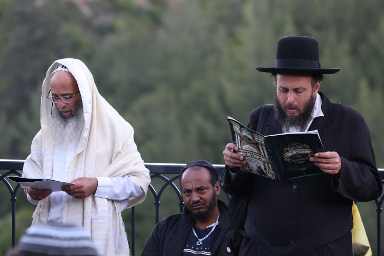 מצוות פדיון פטר חמור בהשתתפות אלפים במירון (צילום: דוד כהן) מצוות פדיון פטר חמור בהשתתפות אלפים במירון (צילום: דוד כהן)