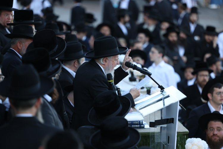 מצוות פדיון פטר חמור בהשתתפות אלפים במירון (צילום: דוד כהן) מצוות פדיון פטר חמור בהשתתפות אלפים במירון (צילום: דוד כהן)