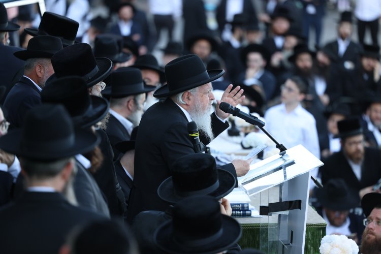 מצוות פדיון פטר חמור בהשתתפות אלפים במירון (צילום: דוד כהן) מצוות פדיון פטר חמור בהשתתפות אלפים במירון (צילום: דוד כהן)