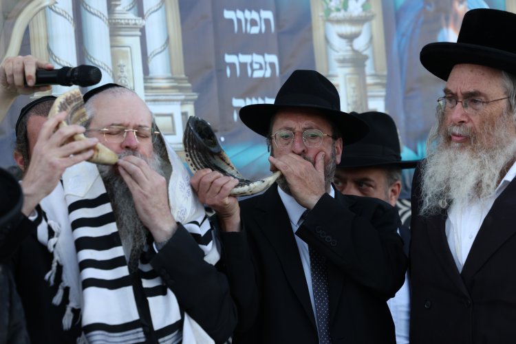 מצוות פדיון פטר חמור בהשתתפות אלפים במירון (צילום: דוד כהן) מצוות פדיון פטר חמור בהשתתפות אלפים במירון (צילום: דוד כהן)