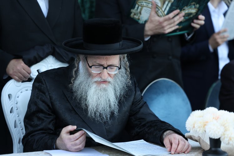מצוות פדיון פטר חמור בהשתתפות אלפים במירון (צילום: דוד כהן) מצוות פדיון פטר חמור בהשתתפות אלפים במירון (צילום: דוד כהן)