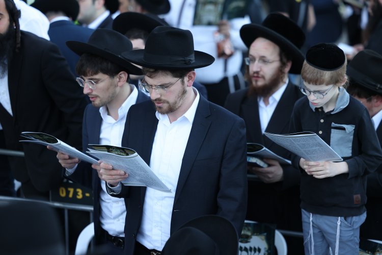 מצוות פדיון פטר חמור בהשתתפות אלפים במירון (צילום: דוד כהן) מצוות פדיון פטר חמור בהשתתפות אלפים במירון (צילום: דוד כהן)