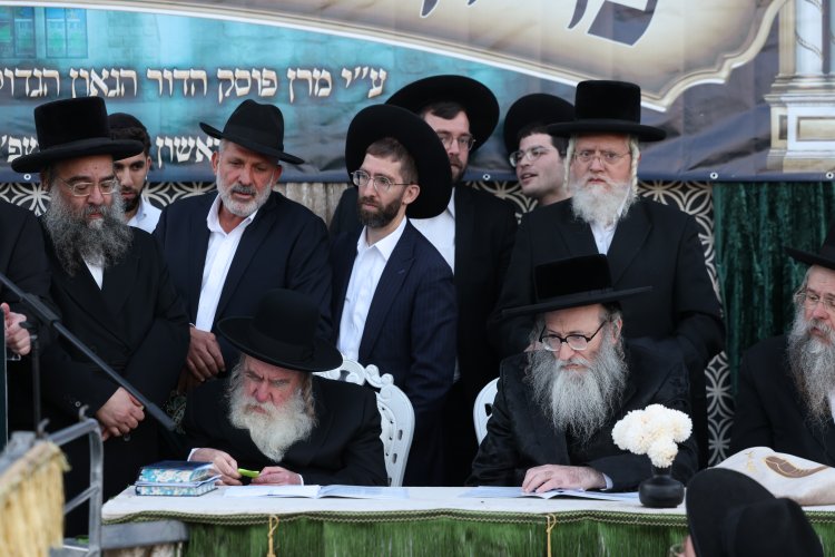 מצוות פדיון פטר חמור בהשתתפות אלפים במירון (צילום: דוד כהן) מצוות פדיון פטר חמור בהשתתפות אלפים במירון (צילום: דוד כהן)