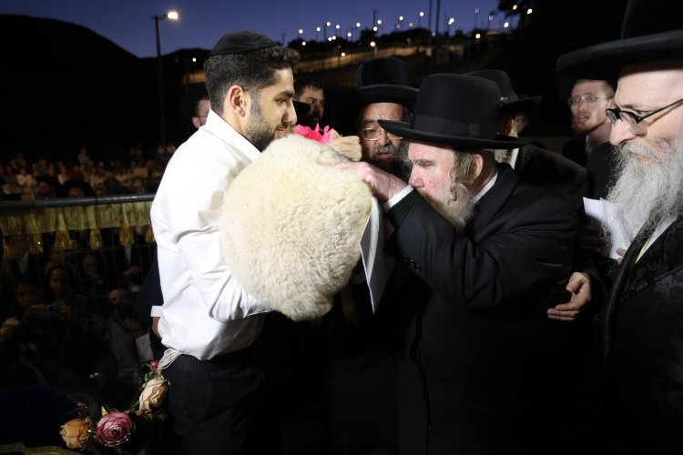 מצוות פדיון פטר חמור בהשתתפות אלפים במירון (צילום: דוד כהן) מצוות פדיון פטר חמור בהשתתפות אלפים במירון (צילום: דוד כהן)