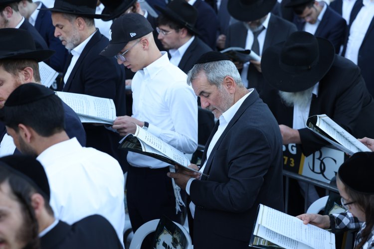 מצוות פדיון פטר חמור בהשתתפות אלפים במירון (צילום: דוד כהן) מצוות פדיון פטר חמור בהשתתפות אלפים במירון (צילום: דוד כהן)