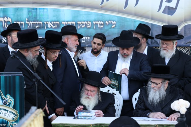 מצוות פדיון פטר חמור בהשתתפות אלפים במירון (צילום: דוד כהן) מצוות פדיון פטר חמור בהשתתפות אלפים במירון (צילום: דוד כהן)