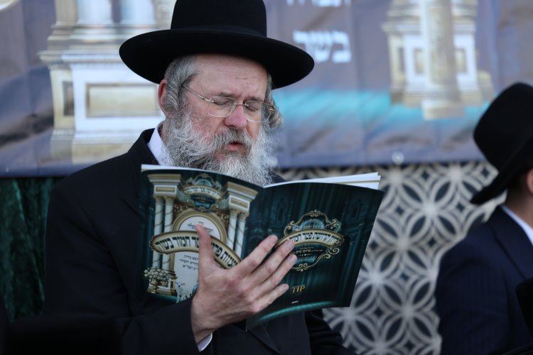 מצוות פדיון פטר חמור בהשתתפות אלפים במירון (צילום: דוד כהן) מצוות פדיון פטר חמור בהשתתפות אלפים במירון (צילום: דוד כהן)
