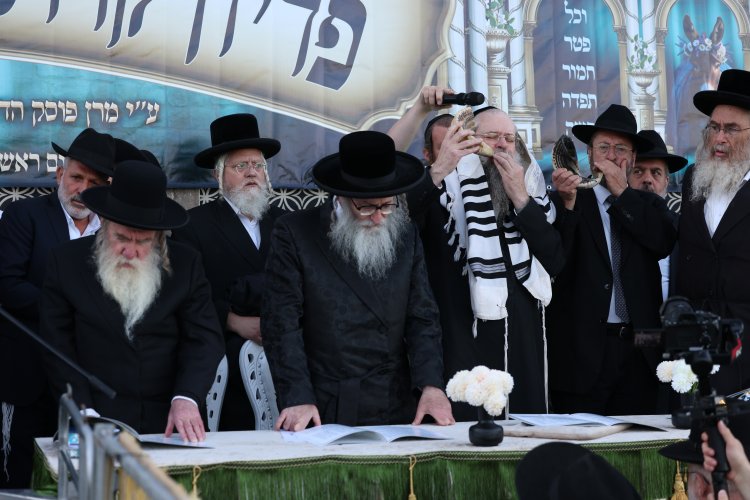 מצוות פדיון פטר חמור בהשתתפות אלפים במירון (צילום: דוד כהן) מצוות פדיון פטר חמור בהשתתפות אלפים במירון (צילום: דוד כהן)