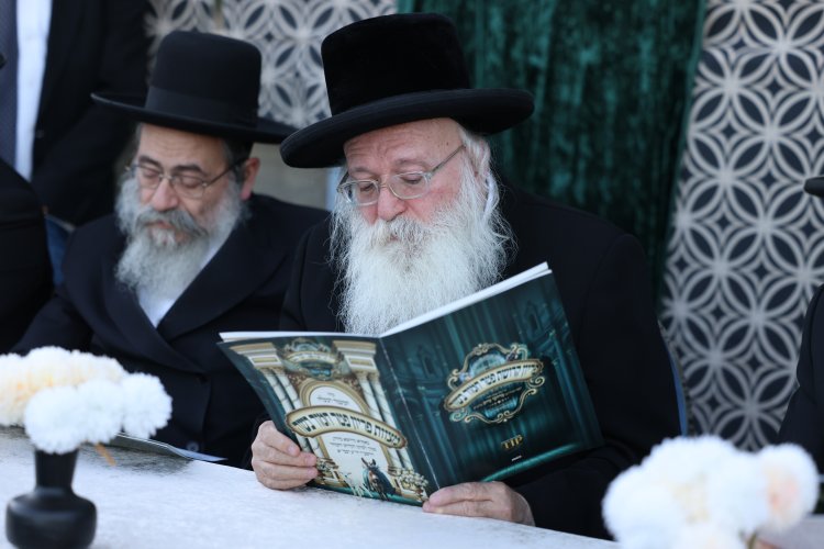 מצוות פדיון פטר חמור בהשתתפות אלפים במירון (צילום: דוד כהן) מצוות פדיון פטר חמור בהשתתפות אלפים במירון (צילום: דוד כהן)