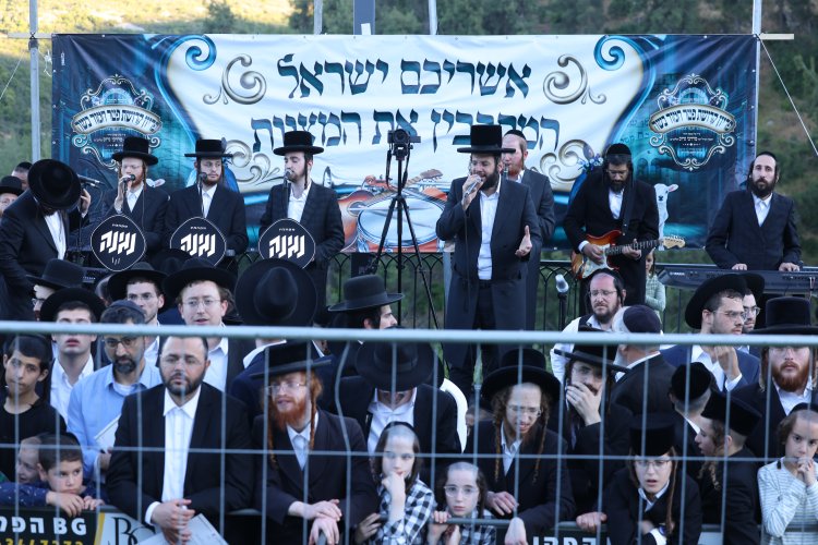מצוות פדיון פטר חמור בהשתתפות אלפים במירון (צילום: דוד כהן) מצוות פדיון פטר חמור בהשתתפות אלפים במירון (צילום: דוד כהן)