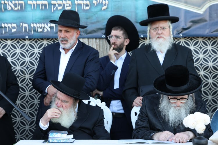 מצוות פדיון פטר חמור בהשתתפות אלפים במירון (צילום: דוד כהן) מצוות פדיון פטר חמור בהשתתפות אלפים במירון (צילום: דוד כהן)