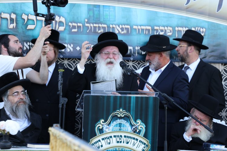 מצוות פדיון פטר חמור בהשתתפות אלפים במירון (צילום: דוד כהן) מצוות פדיון פטר חמור בהשתתפות אלפים במירון (צילום: דוד כהן)