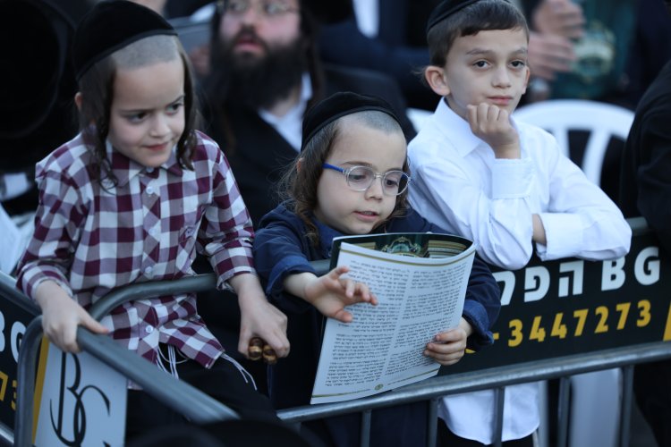 מצוות פדיון פטר חמור בהשתתפות אלפים במירון (צילום: דוד כהן) מצוות פדיון פטר חמור בהשתתפות אלפים במירון (צילום: דוד כהן)