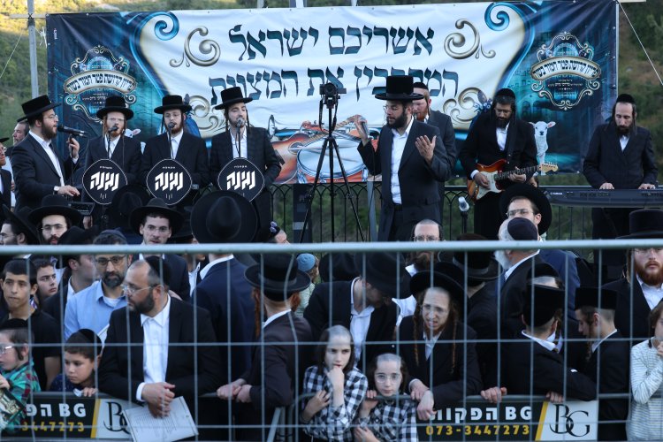 מצוות פדיון פטר חמור בהשתתפות אלפים במירון (צילום: דוד כהן) מצוות פדיון פטר חמור בהשתתפות אלפים במירון (צילום: דוד כהן)