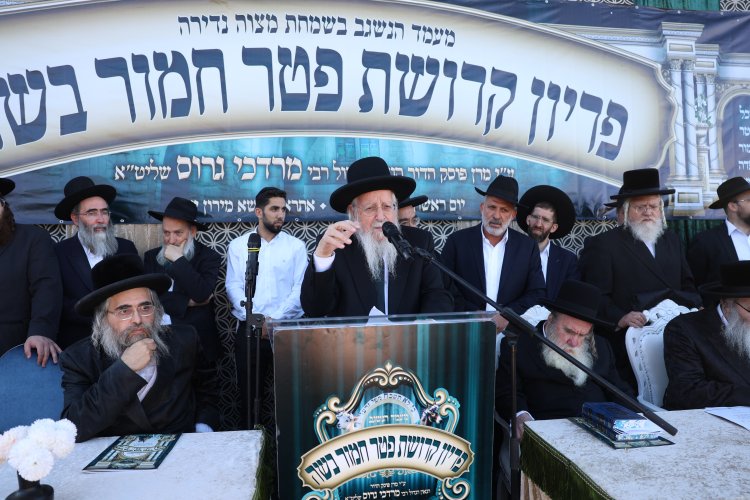מצוות פדיון פטר חמור בהשתתפות אלפים במירון (צילום: דוד כהן) מצוות פדיון פטר חמור בהשתתפות אלפים במירון (צילום: דוד כהן)