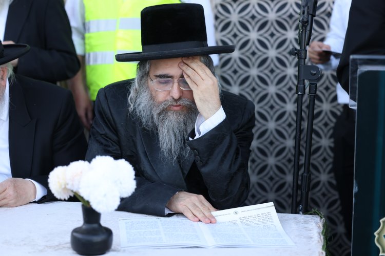 מצוות פדיון פטר חמור בהשתתפות אלפים במירון (צילום: דוד כהן) מצוות פדיון פטר חמור בהשתתפות אלפים במירון (צילום: דוד כהן)
