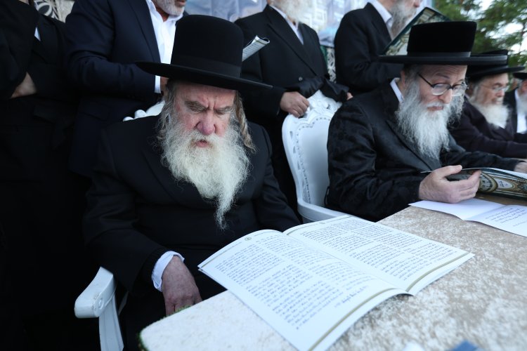 מצוות פדיון פטר חמור בהשתתפות אלפים במירון (צילום: דוד כהן) מצוות פדיון פטר חמור בהשתתפות אלפים במירון (צילום: דוד כהן)