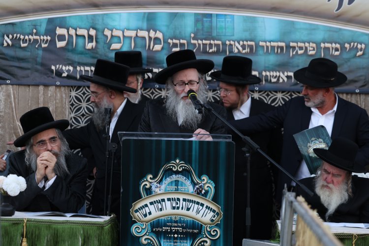 מצוות פדיון פטר חמור בהשתתפות אלפים במירון (צילום: דוד כהן) מצוות פדיון פטר חמור בהשתתפות אלפים במירון (צילום: דוד כהן)