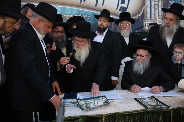 מצוות פדיון פטר חמור בהשתתפות אלפים במירון (צילום: דוד כהן) מצוות פדיון פטר חמור בהשתתפות אלפים במירון (צילום: דוד כהן)