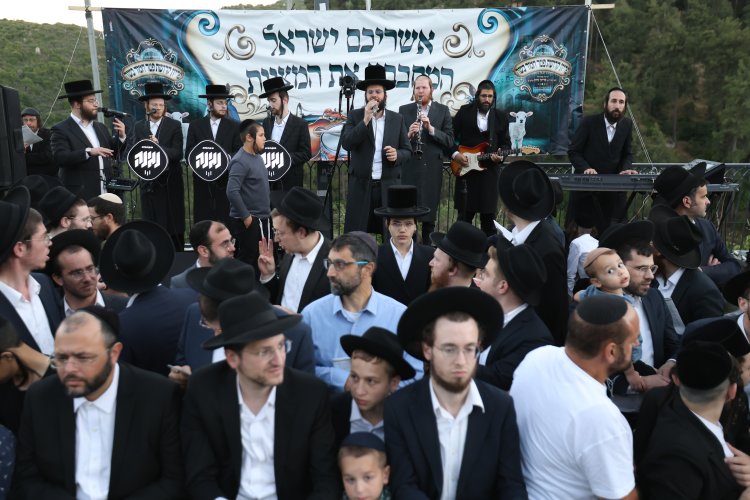 מצוות פדיון פטר חמור בהשתתפות אלפים במירון (צילום: דוד כהן) מצוות פדיון פטר חמור בהשתתפות אלפים במירון (צילום: דוד כהן)