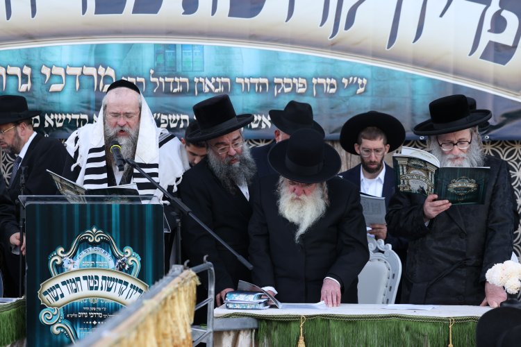 מצוות פדיון פטר חמור בהשתתפות אלפים במירון (צילום: דוד כהן) מצוות פדיון פטר חמור בהשתתפות אלפים במירון (צילום: דוד כהן)