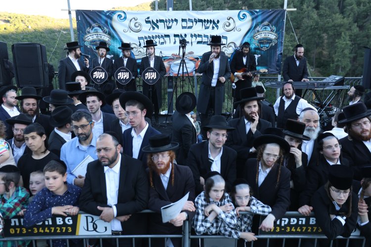 מצוות פדיון פטר חמור בהשתתפות אלפים במירון (צילום: דוד כהן) מצוות פדיון פטר חמור בהשתתפות אלפים במירון (צילום: דוד כהן)