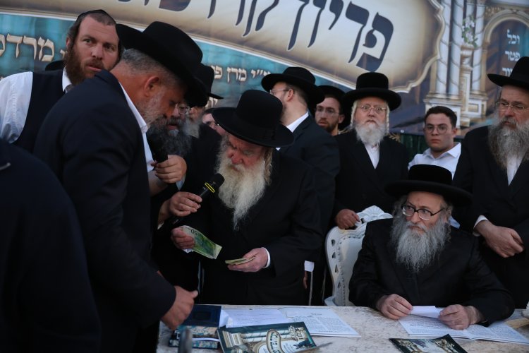 מצוות פדיון פטר חמור בהשתתפות אלפים במירון (צילום: דוד כהן) מצוות פדיון פטר חמור בהשתתפות אלפים במירון (צילום: דוד כהן)