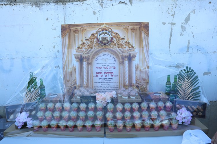 מצוות פדיון פטר חמור בהשתתפות אלפים במירון (צילום: דוד כהן) מצוות פדיון פטר חמור בהשתתפות אלפים במירון (צילום: דוד כהן)