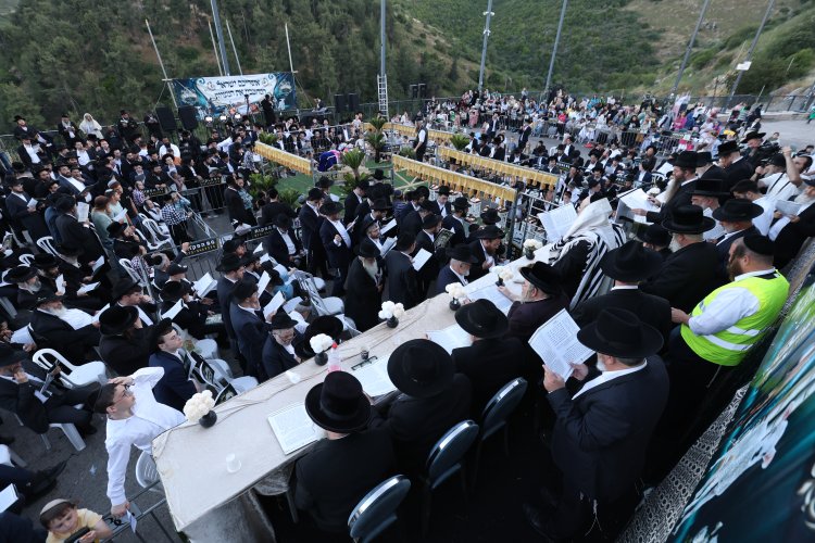 מצוות פדיון פטר חמור בהשתתפות אלפים במירון (צילום: דוד כהן) מצוות פדיון פטר חמור בהשתתפות אלפים במירון (צילום: דוד כהן)